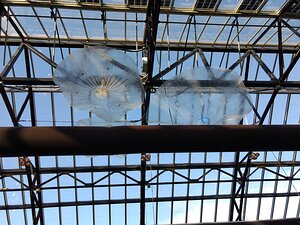 Restaurant-de-Kas_Amsterdam_20190508_IMG193937295